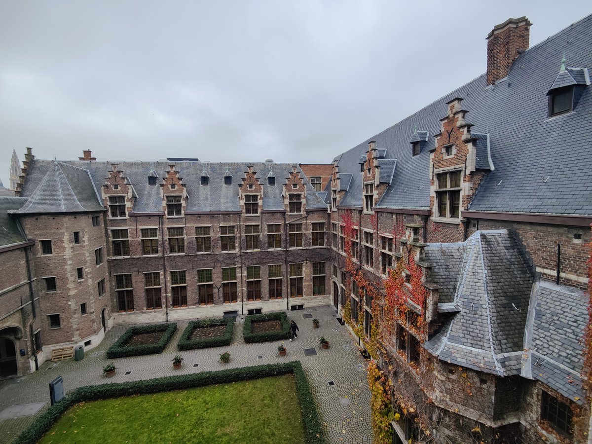 ContrasT Team tweet media