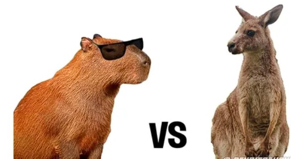 Bueno, estamos listos para esto?