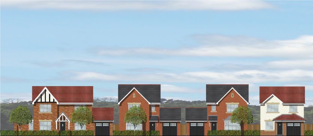 Asteer Planning tweet media