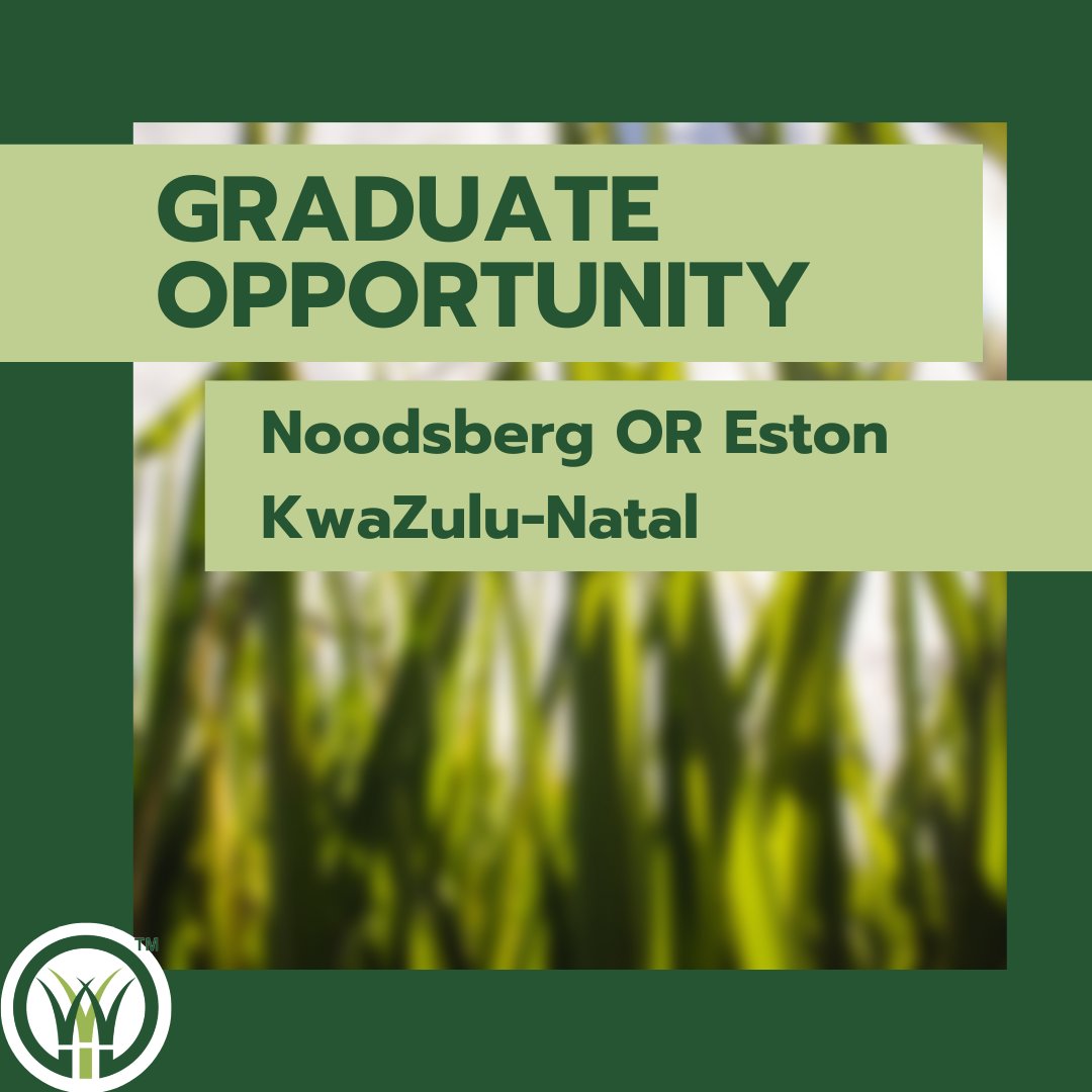 #SACanegrowers, in partnership with <a href="/agri_seta/">AgriSETA</a>, have an #opportunity for Graduate #AgriculturalEconomists! Email your CV, academic results &amp; Senior Certificate to executive.pa@sacanegrowers.co.za before applications close tomorrow! 🔔 🔗bit.ly/3OeTbIJ