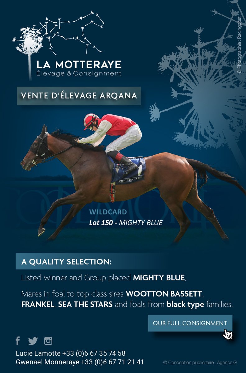 🇫🇷 <a href="/La_Motteraye/">La Motteraye</a> Elevage &amp; Consignment

🏇 WILDCARD Lot 150 - MIGHTY BLUE

💫 A quality selection: 
Listed winner and Group placed MIGHTY BLUE
Mares in foal to top class sires WOOTTON BASSETT, FRANKEL, SEA THE STARS and foals from black type families

👉 bit.ly/3XJragC