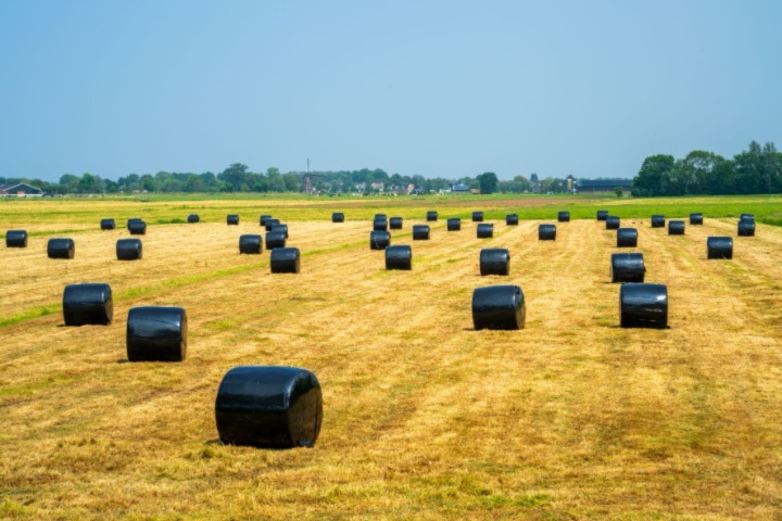 During the #winter months when most animals are housed, their nutritional requirements increase and must be maintained by grass #silage. It is vital farmers know the nutritional value of their silage. Read Eoin O'Brien’s latest blog to learn more: cawood.co.uk/blog/wrapping-…