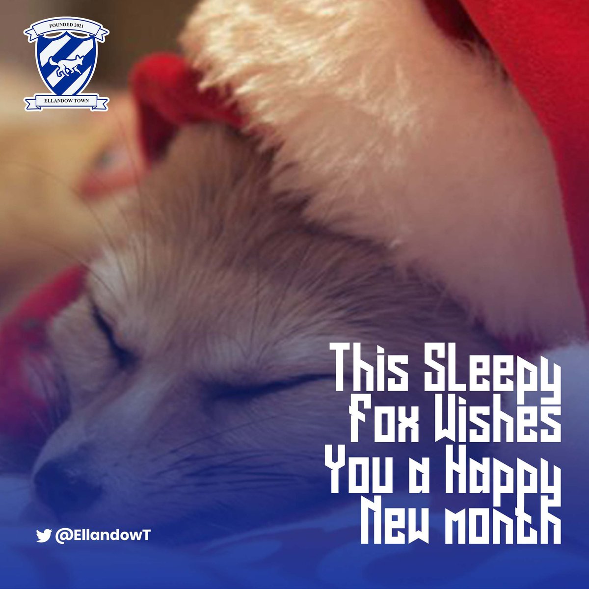 Happy new month to all our fans, players and management 

Let’s have a good December 

Cheers 🍻 

Up The Foxes 

#footium #newmonth #ellandowt #fantasyfootball