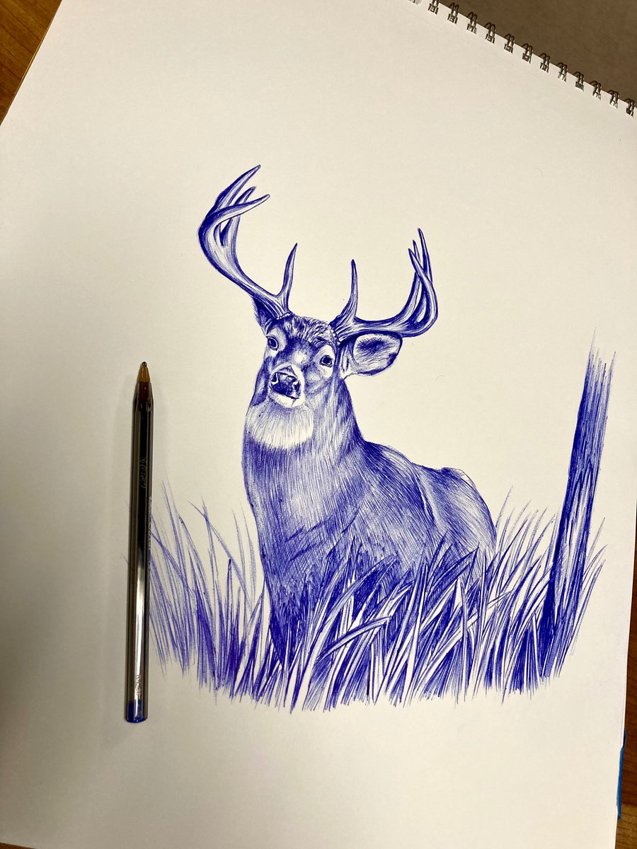 Sketching with a pen 🦌 #hunting #deer #whitetail #artwork
