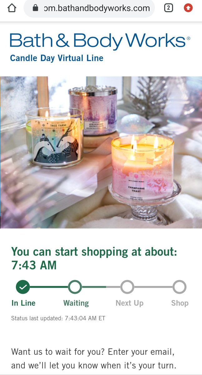 ViolaGattina tweet media