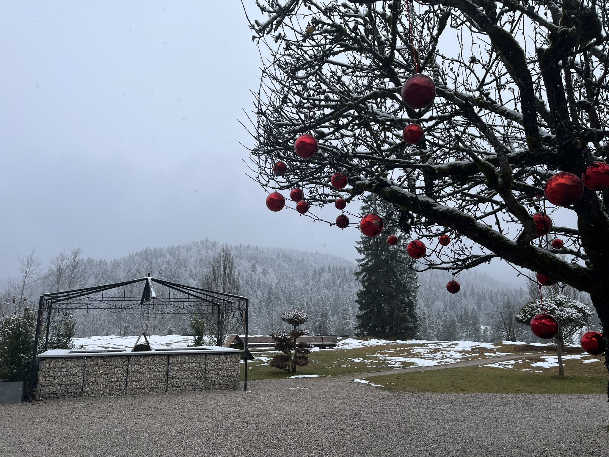 上野泰 (Tcbgkq) / Twitter