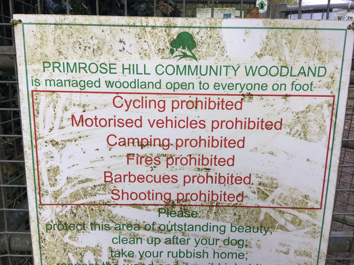 BathDogWalker's tweet photo. @BikeMcBikeface Was that you cycling through Primrose Hill community woodland a little while ago?

Bloody cyclists https://t.co/Ibp5pDAe6k