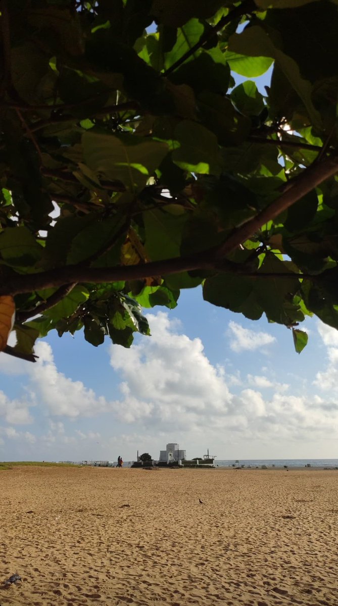 Too late for GM? 🤭