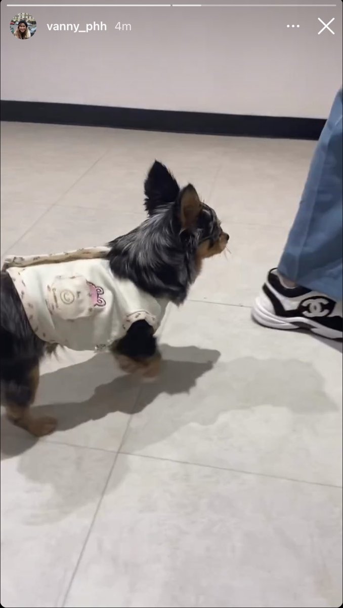 wilxiiix's tweet photo. โมเม้นป้ะ https://t.co/kdwpWbEEXW