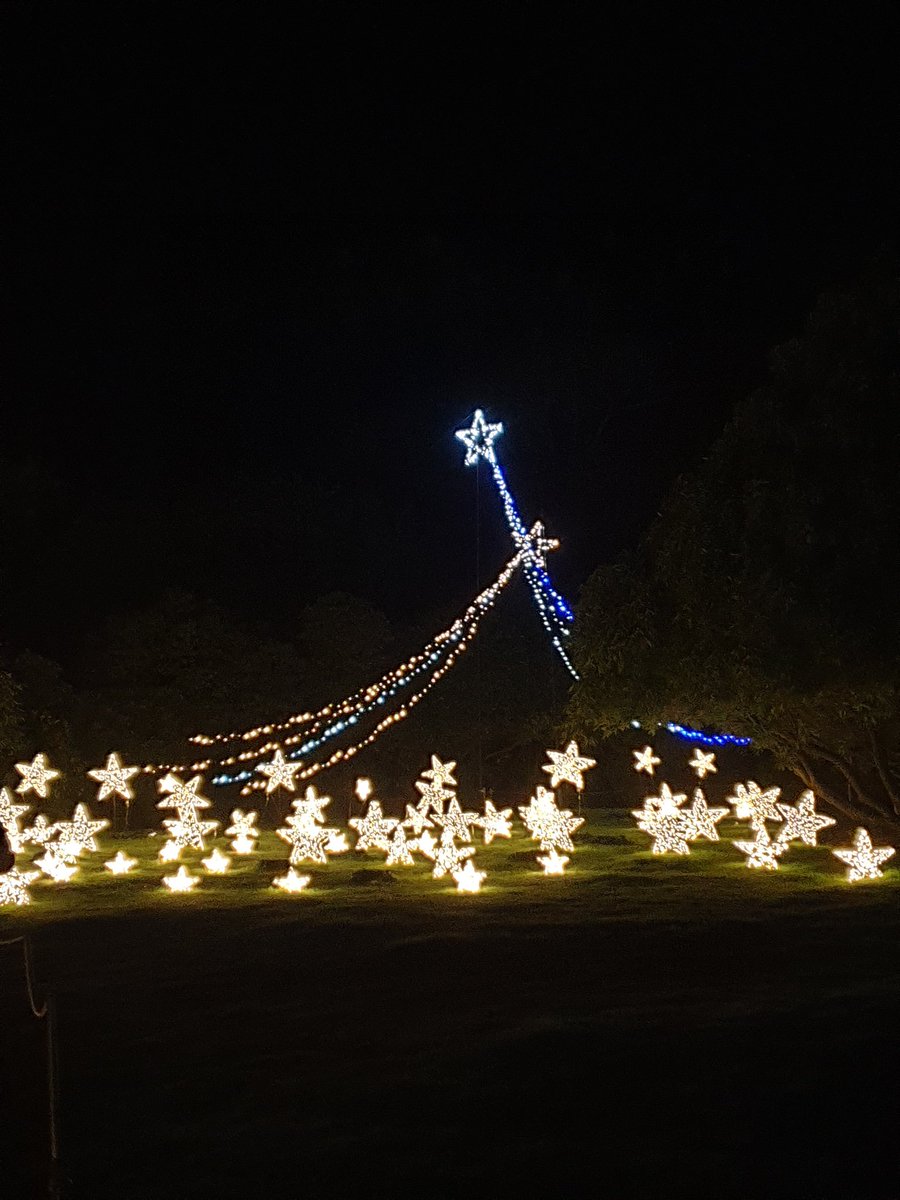 Great week with a variety of training happening - Senior Mental health cohort 5 group started; 2 different lots of PRICE training; Emotion Coaching. And still time for the family visiting Heligan's night garden!