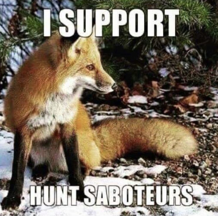 Have a great weekend everyone and thanks for your support! #TeamFoxNI  #banhunting #banterrierwork #banbloodsports #voiceforthevoiceless #huntscum #huntsabs