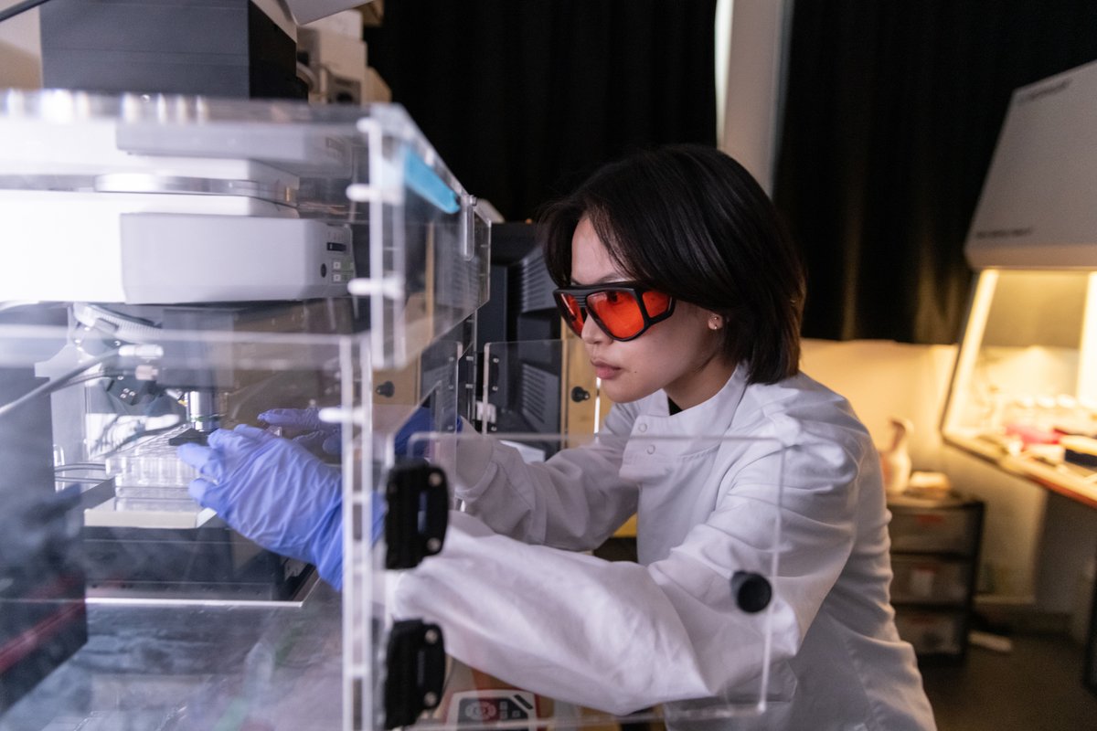 Bioengineering (@imperialbioeng) on Twitter photo Are you looking for an academic appointment in Bioengineering in a department that leads the bioengineering agenda nationally and internationally?
One of the THREE available Lecturer or Senior Lecturer roles within <a href="/ImperialBioeng/">Bioengineering</a> could be for you!
🔗imperial.ac.uk/jobs/descripti… Are you looking for an academic appointment in Bioengineering in a department that leads the bioengineering agenda nationally and internationally?
One of the THREE available Lecturer or Senior Lecturer roles within <a href="/ImperialBioeng/">Bioengineering</a> could be for you!
🔗imperial.ac.uk/jobs/descripti…