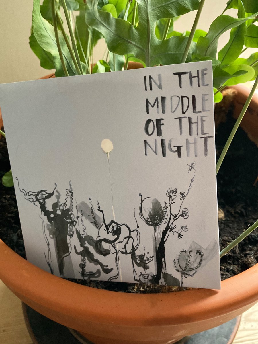 It’s BANDCAMP FRIDAY today, plus I’ve added a 20% discount if you use the code ‘begin’ at the checkout. It’s a great time to help an artist out and buy your Christmas gifts all in one go!

Also discovered early copies of my first EP which are up too!

chloefoymusic.bandcamp.com