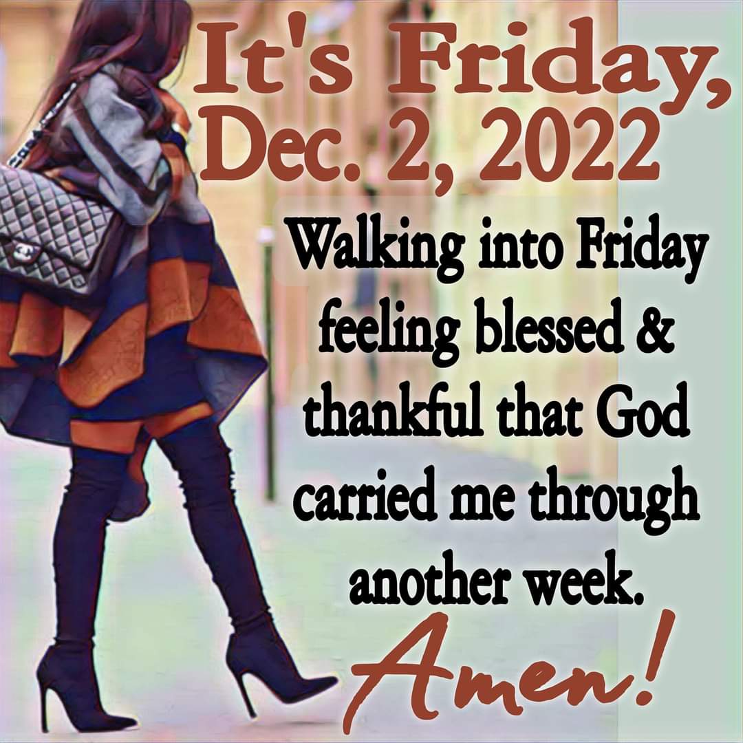 ALCFARM's tweet image. 💯 🙏🏾🙏🏾