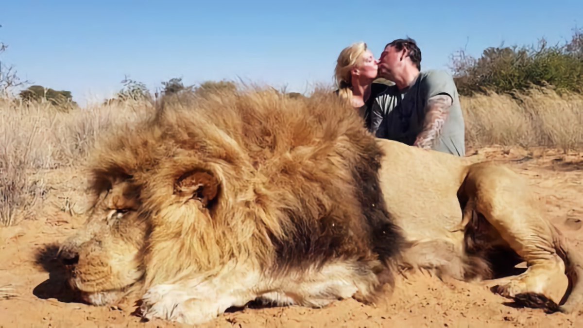#TrophyHunting Couple Kiss Over Dead Lion's Corpse.😭

What kind of message does this send? 
That it is okay to slaughter animals for fun? 😡
That killing is romantic? 
Disgusting. We need to #BanTrophyHunting.

🙏RT if you agree!