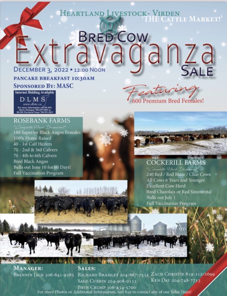 Never an easy choice, making decision to sell some “life’s work”. Rosebank Farms (brothers) are selling much of their cattle herd.  Some very nice home grown cows that will surely be great addition to anyones herd.  Sale is tomorrow at Heartland in Virden.