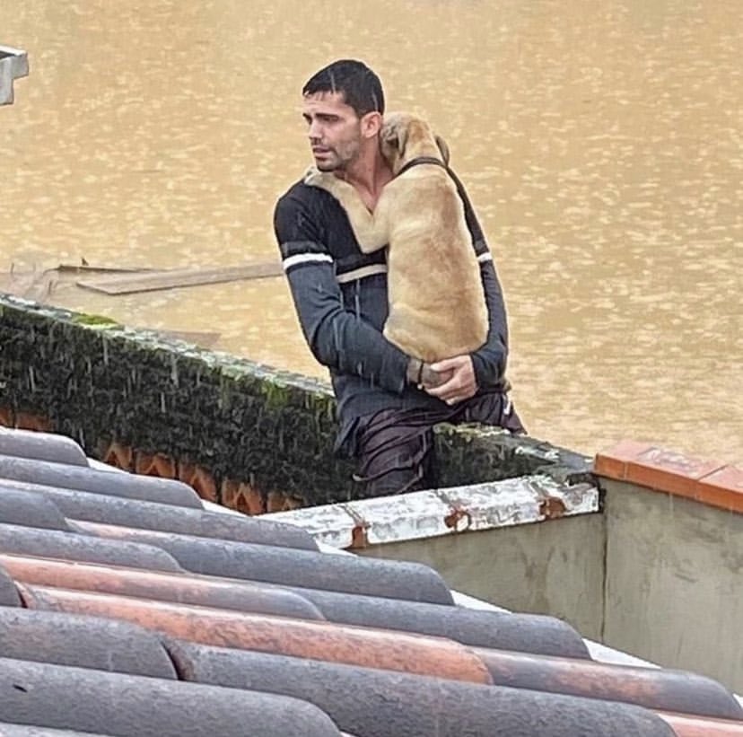 😭 nunca te voy a dejar 💜

Esta imagen, en medio de las terribles inundaciones en Florianopolis, recorre el mundo. El dueño no planea dejar a su mascota 🐶