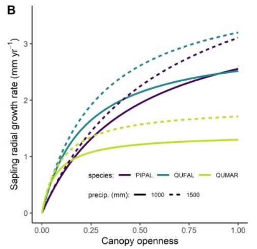 Jeffery B. Cannon, PhD🌲🔥🌪️ tweet media