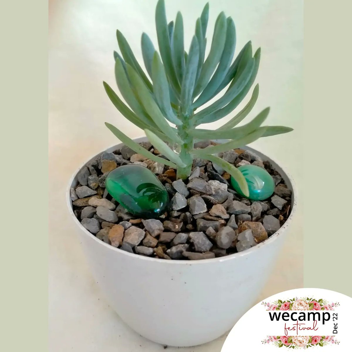 wecamp_pk's tweet image. home gardening has the perfect addition to your family and house!! 

The wecamp festival brings you two days of fun!

Date: 10-11th December 2022
Time: 12pm - 10pm 
Venue: PNCA,  Islamabad

#wecamp #wecampfestival #Takeyourfirststep #WomenofWecamp