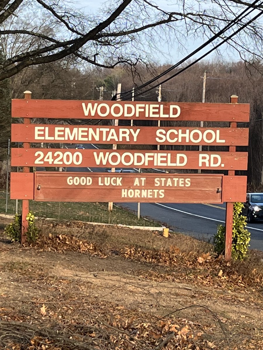 Stephanie Brant tweet media