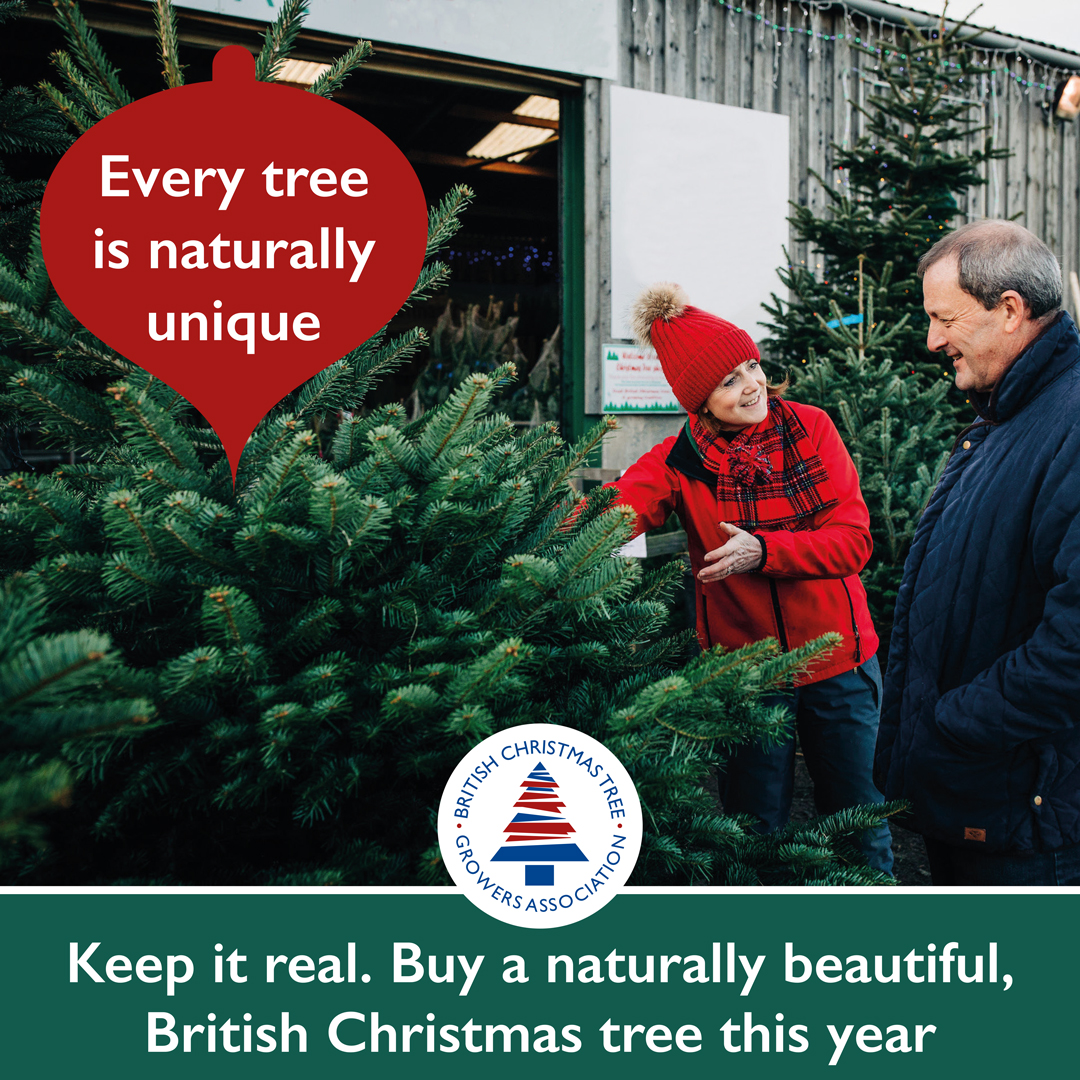 Real Christmas trees come in all shapes and sizes. 
Each tree is naturally unique and hand grown with love meaning they are all slightly different, ensuring no matter what you are looking for...there's a tree out there for you.
Find your local grower bctga.co.uk/onlinedirectory
