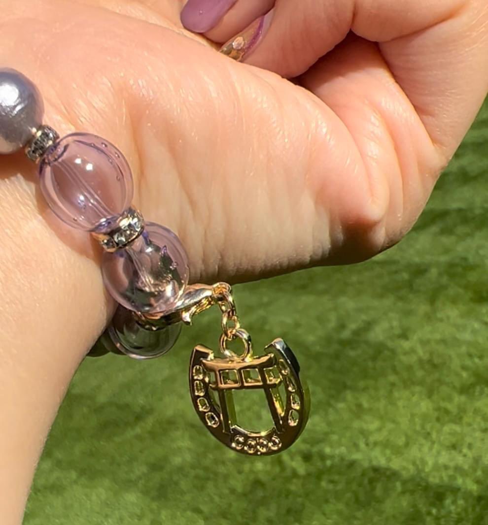 あの娘のブレスレット」の秘密 神主でもあり馬主でもあるドクターコパ