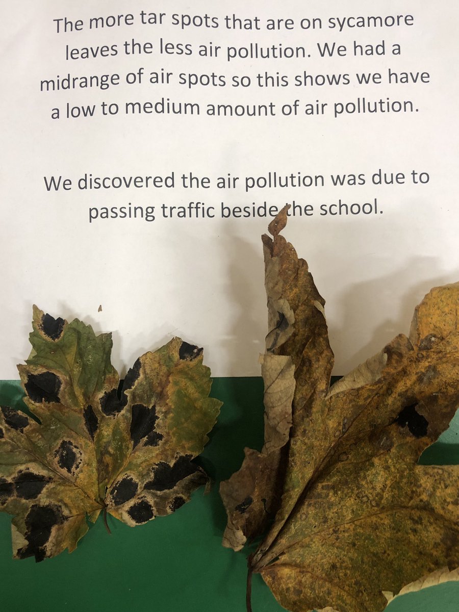 🌎 Fact of the day from KPS KOP2🌎 #itsSLC