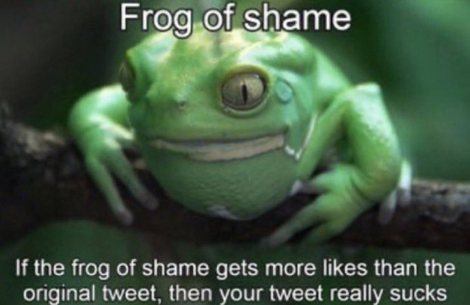 BIG M: NintendONION🧅 tweet media