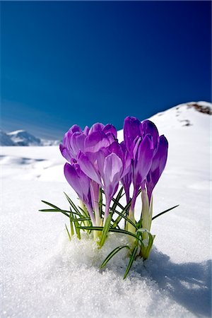 VieNatureSavoir tweet picture