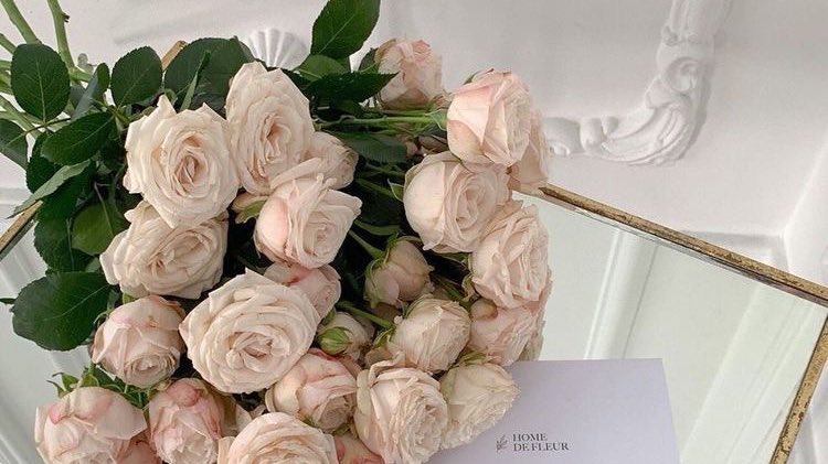 𝘮𝘢𝘭𝘶 tweet media