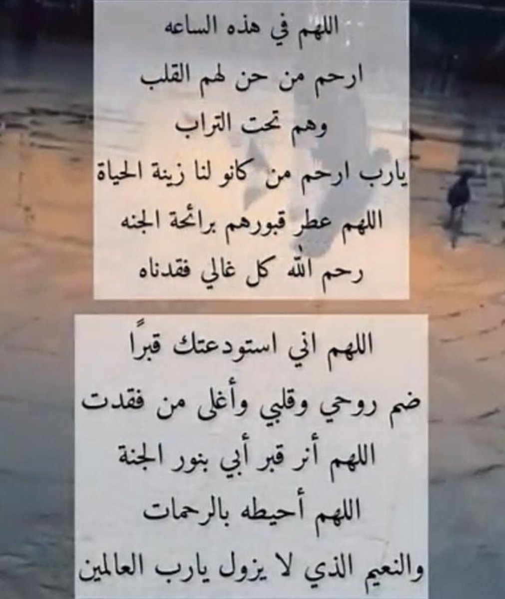 Ensaf. (@ensaf__) on Twitter photo 
