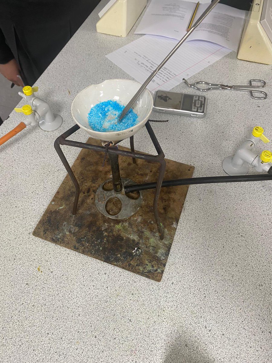 TGAS_Science's tweet image. Our Year 11 students trying A-level sciences as part of our Year 11 Sixth Form Taster Day