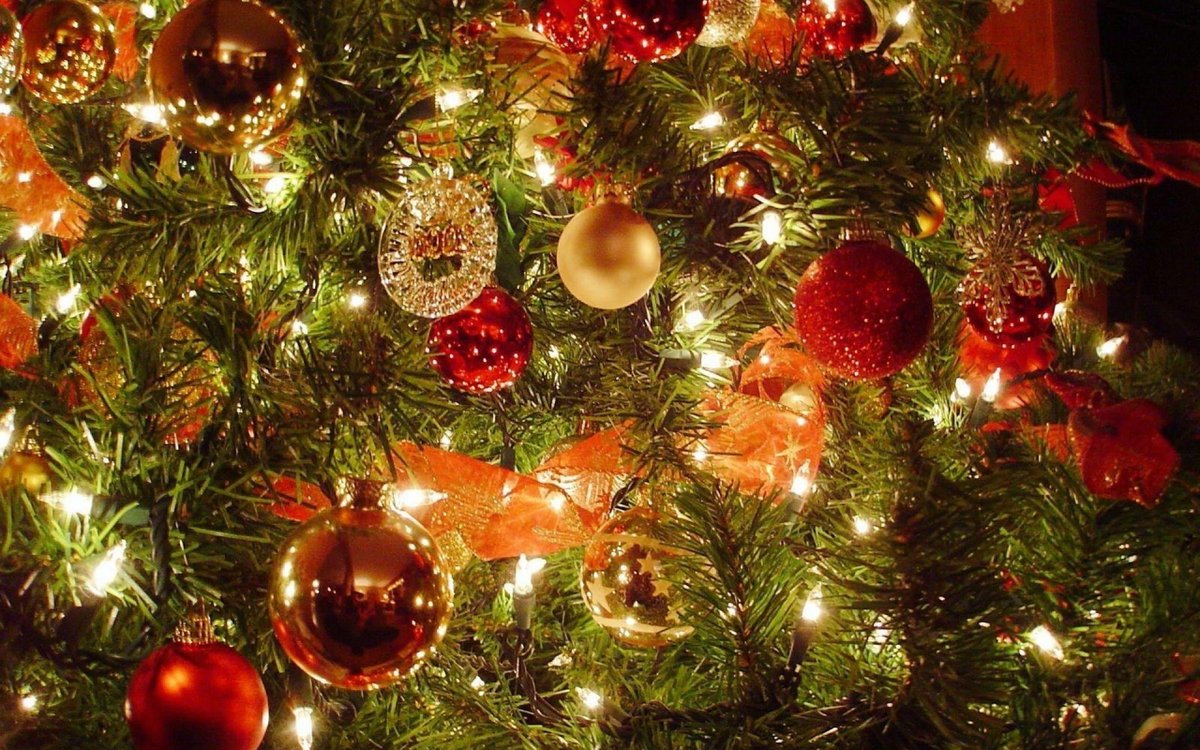 Blush is helping Fortune set up a christmas tree and hang stockings!