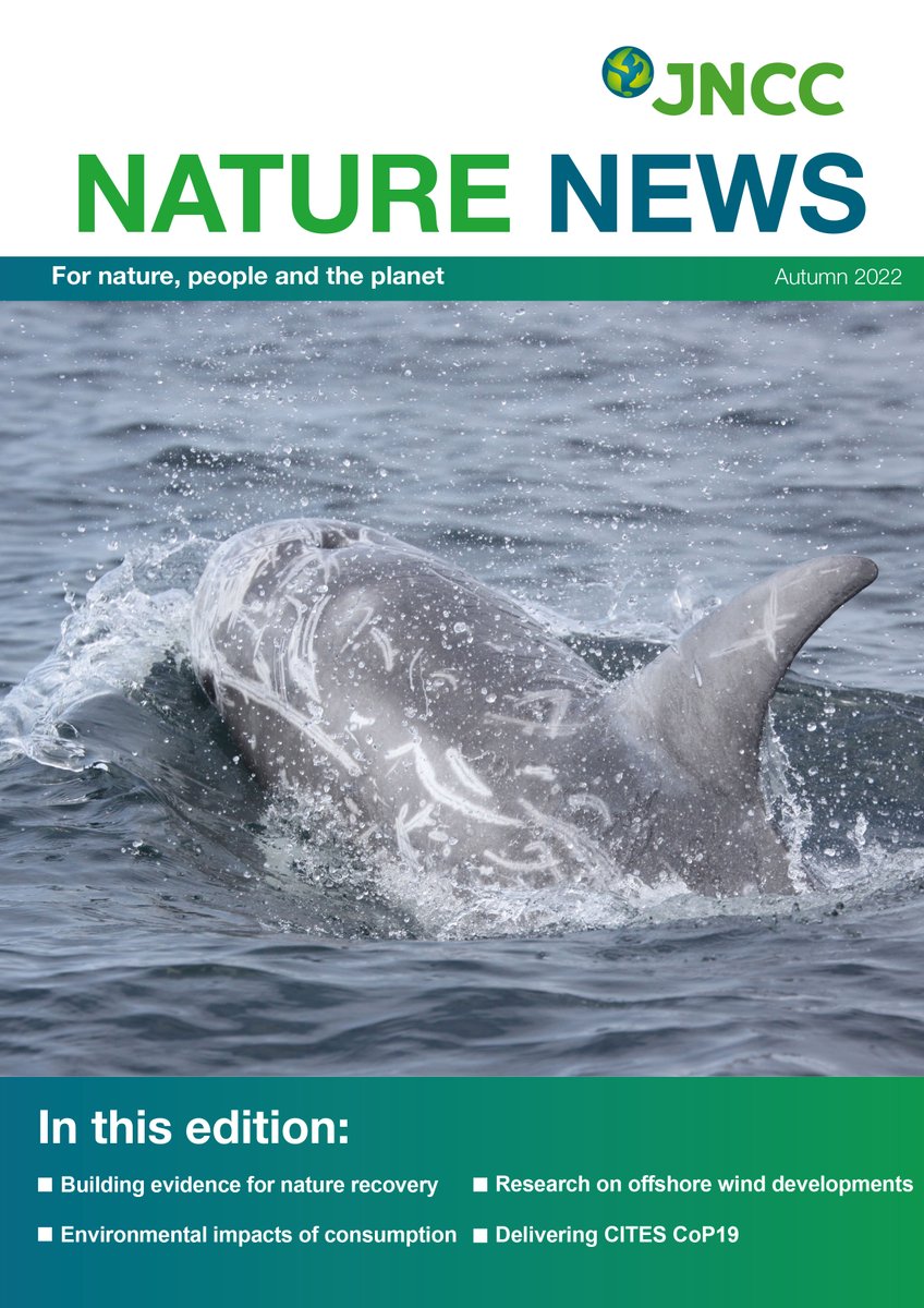 The latest edition of JNCC's Nature News is now online bit.ly/JNCCNatureNews… featuring:

🦈@CITES #COP19

🌱Building evidence for #NatureRecovery with biodiversity monitoring

🫒 The environmental impacts of UK consumption

👀And much more... #ForNaturePeoplePlanet #FridayReads