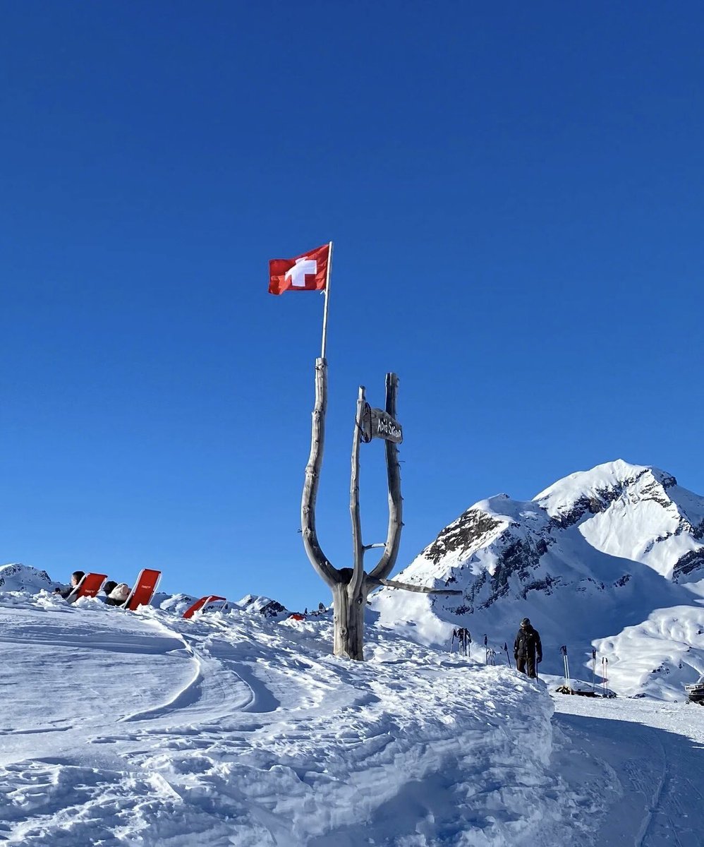 devil00025's tweet image. 매일 놀면서 아름다운 경치를 감상하는 것이다