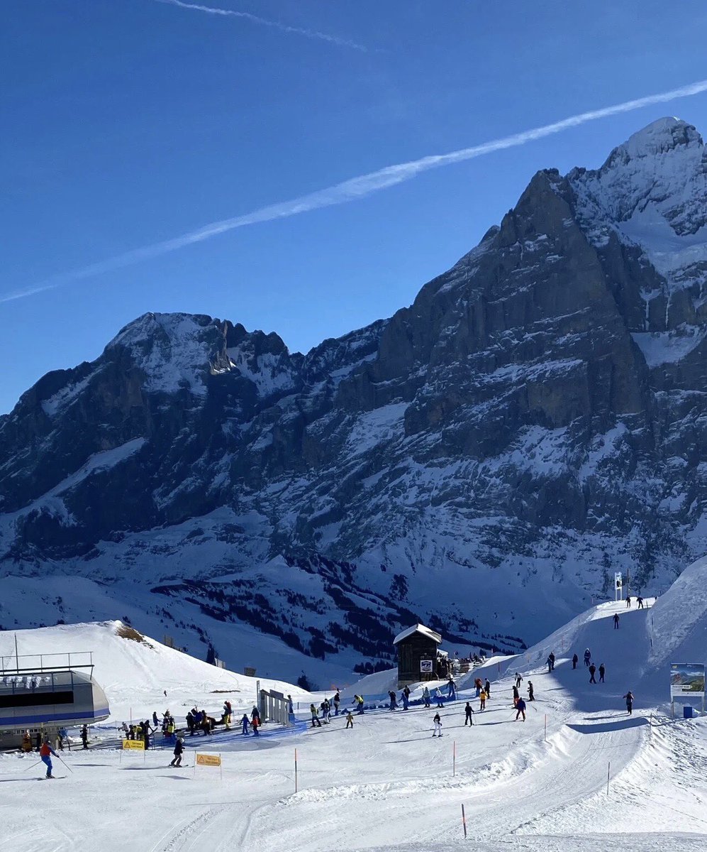 devil00025's tweet image. 매일 놀면서 아름다운 경치를 감상하는 것이다