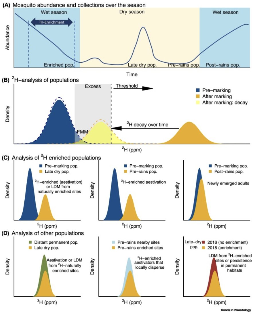 Francesco Baldini tweet media