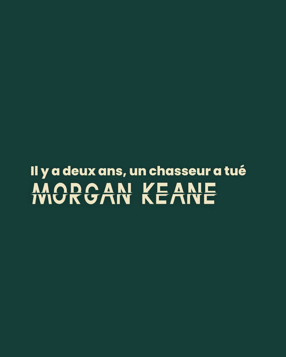 unjour1chasseur's tweet photo. Aujourd'hui, cela fait deux ans que notre ami Morgan a été tué d'une balle de gros calibre dans le thorax par un chasseur, alors qu'il coupait du bois dans son jardin.

Rejoignez-nous pour un hommage national en partageant au maximum le #unverrepourMoggy en sa mémoire. https://t.co/T2slVBLRNS