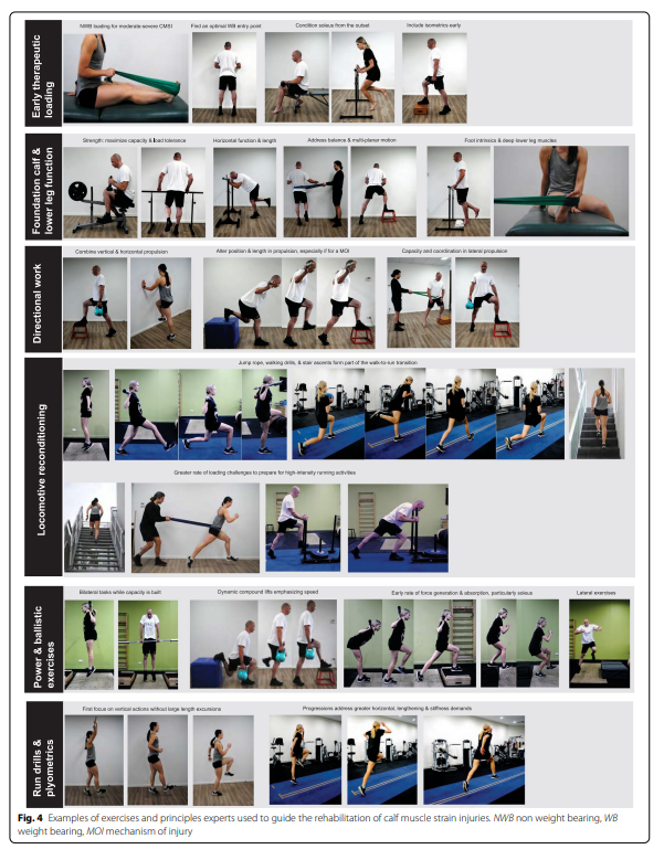 📌Prevention #Calf Muscle Strain 'The Assessment, Management and Prevention of Calf Muscle Strain Injuries: A Qualitative Study of the Practices and Perspectives of 20 Expert Sports Clinicians' 📥sportsmedicine-open.springeropen.com/articles/10.11…