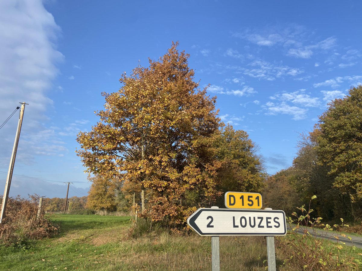 FannyDiard's tweet photo. To loose or not.. to LOUZES !
Rdv à 15h30 pour la présentation presse du dispositif Carbocage 👍 🍃 🌳 https://t.co/RCeRbiRNCu