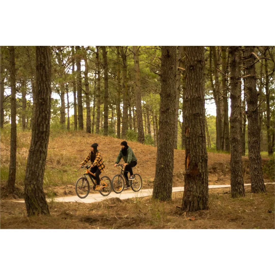 plan_pinamar's tweet photo. | DESARROLLO URBANO

Las ciudades son el proceso de transformaciones urbanas resultado de diferentes tiempos, procesos y concepciones. El enfoque, las miradas cambian según cambian las lógicas de la sociedad. https://t.co/YD1JcRZOpD
