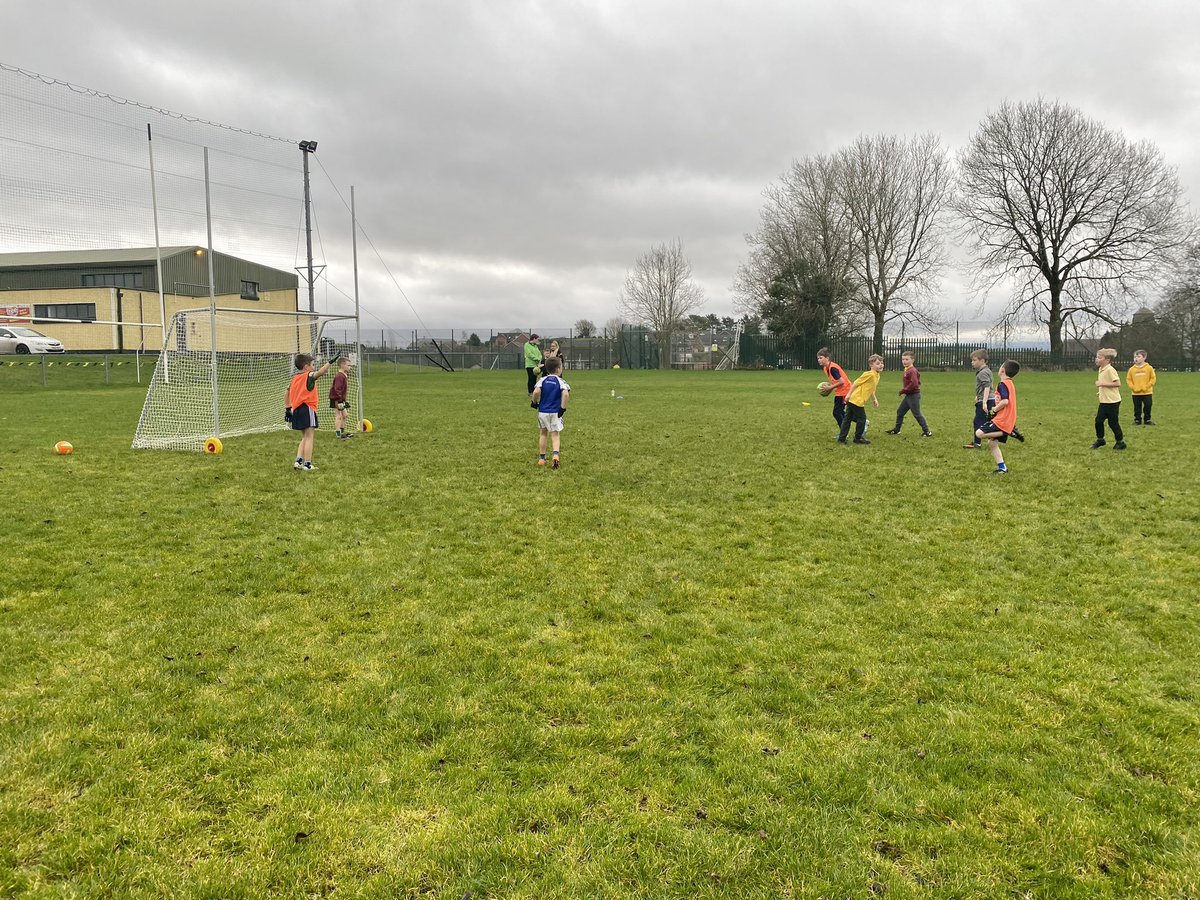 Fermanagh GAA Coaching & Games tweet media