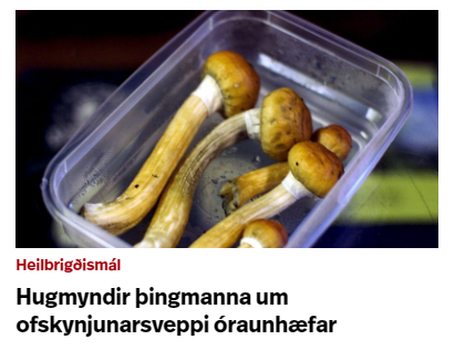 Voru þeir kannski á sveppum að smíða þessar hugmyndir?