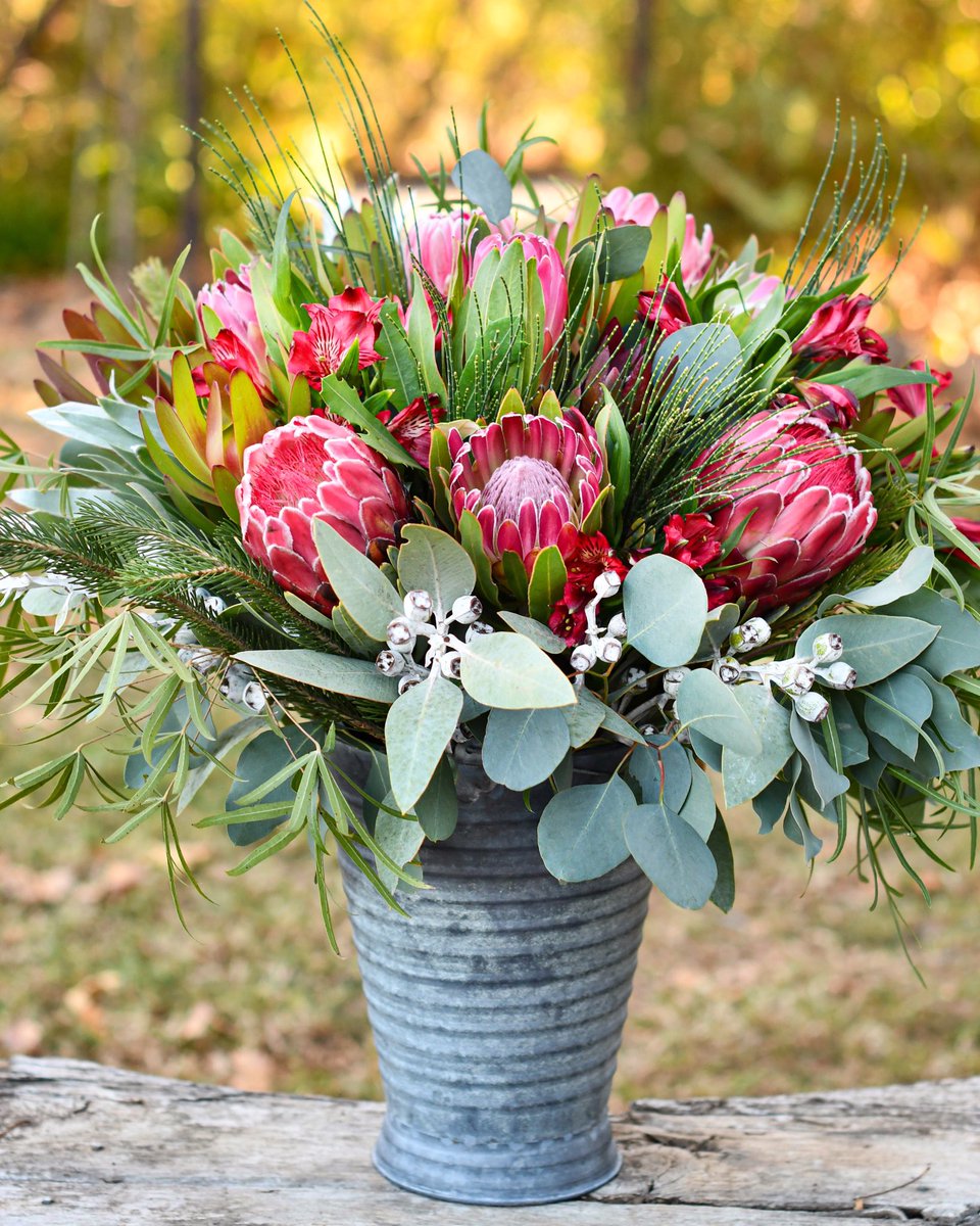 Happy Friday! Time to deck the Halls… our merry-making motto: if in doubt, reach for gorgeous florals. 🍃🌷🌸🌿 #fridayfeeling #inspiredbynature #fynbos #protea #fabulousfoliage #embracingtheseasons #cagrown