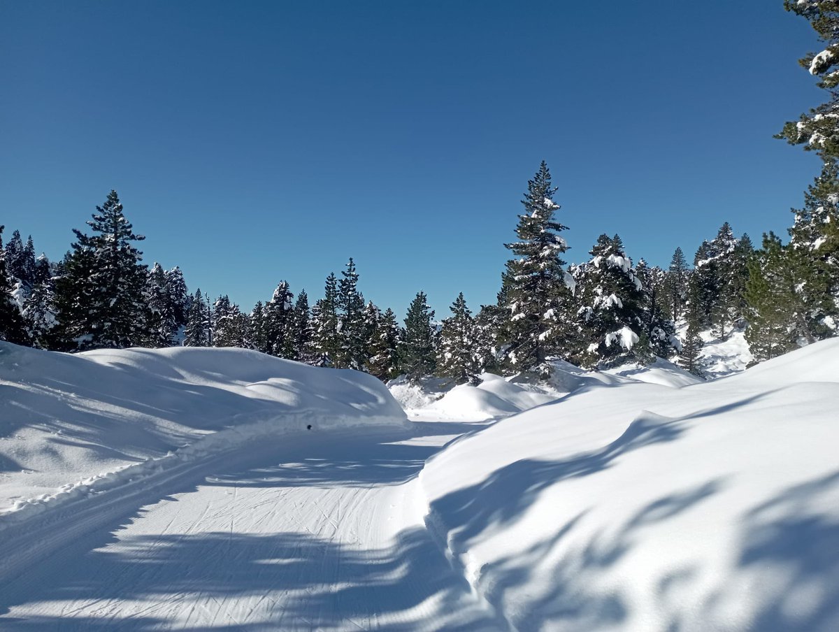Diazo contienda larra belagua