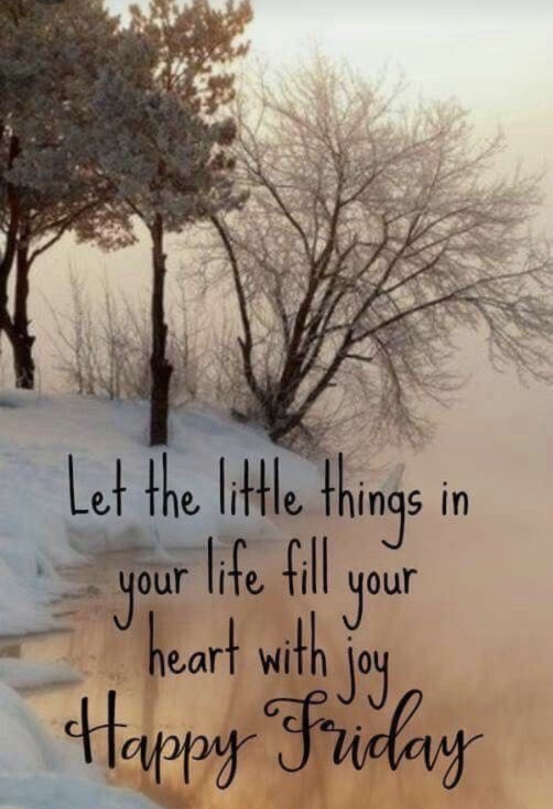 Tracy Sabol on Twitter: 