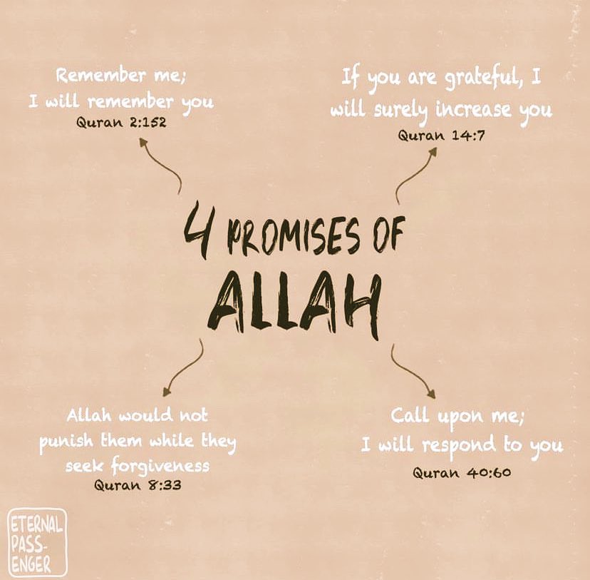 Quranconnect_'s tweet photo. Reassuring 🥺🫶 https://t.co/ghY7FT92Ub