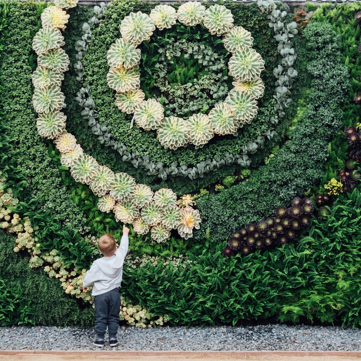 _ANDLondon_'s tweet photo. #Greenwalls offer a multitude of benefits to the building and residents that extend far beyond the aesthetic appeal.....
🌿 Natural ventilation
🌿 Reduction of urban heat island effect
🌿 Reversible air source heat pumps to provide heating and cooling

📸 via Paul Hanaoka https://t.co/6HXa78Jmq7