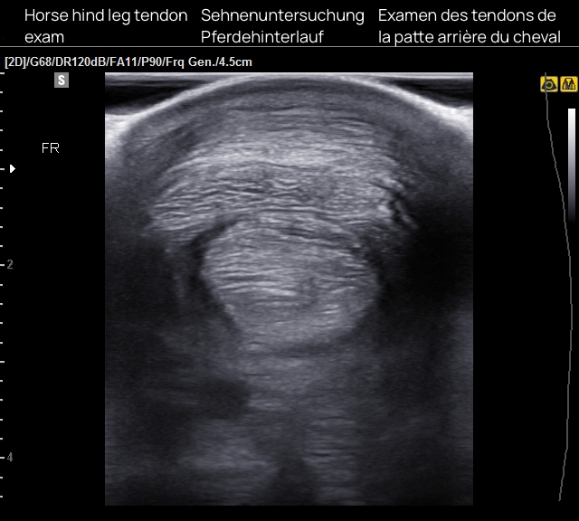 aiSon™ Technologies tweet media