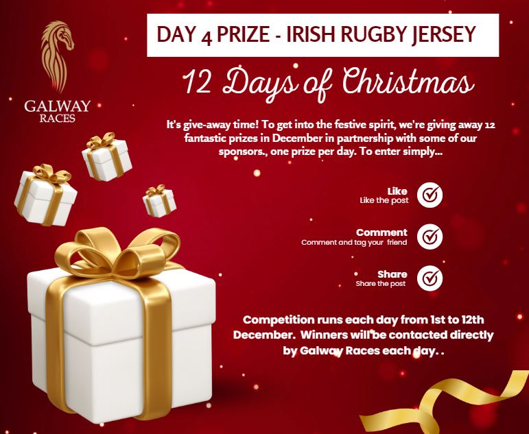 Galway_Races's tweet photo. 🎁12 DAYS OF CHRISTMAS GIVEAWAY: DAY 4⃣
☘️To get into the festive spirit, we've teamed up with our sponsors to giveaway fantastic prizes⤵️
DAY 4⃣: thanks to @GuinnessIreland win
⭐️A Signed Irish Rugby Jersey (2022 squad) 🇮🇪
⭐️Plus a 7 Day Admission Ticket to #GalwayRaces2023 https://t.co/jVGie1YW5i